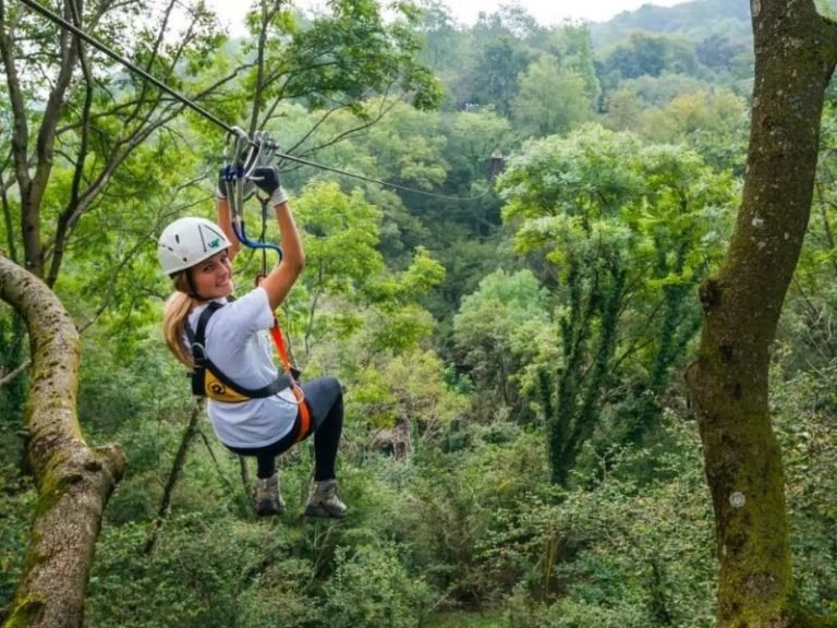 jungle rider1